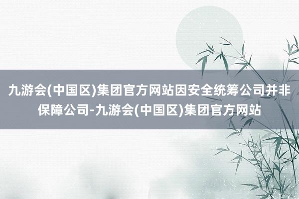 九游会(中国区)集团官方网站因安全统筹公司并非保障公司-九游会(中国区)集团官方网站