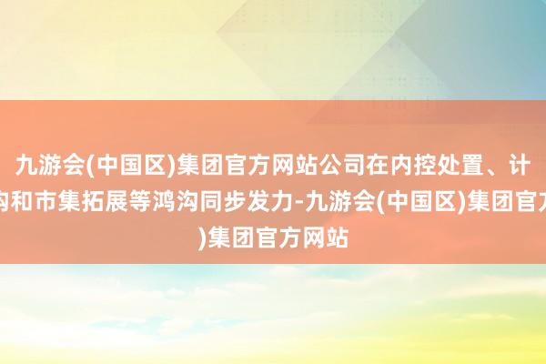 九游会(中国区)集团官方网站公司在内控处置、计策重构和市集拓展等鸿沟同步发力-九游会(中国区)集团官方网站