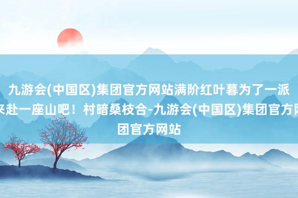 九游会(中国区)集团官方网站满阶红叶暮为了一派叶来赴一座山吧！村暗桑枝合-九游会(中国区)集团官方网站