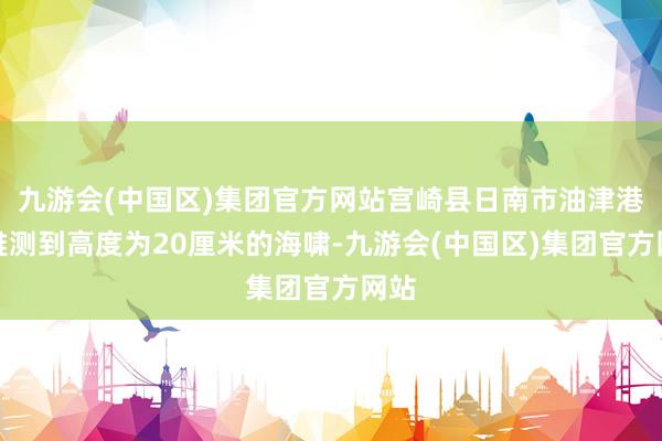 九游会(中国区)集团官方网站宫崎县日南市油津港不雅测到高度为20厘米的海啸-九游会(中国区)集团官方网站