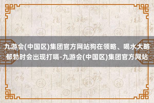 九游会(中国区)集团官方网站狗在领略、喝水大略郁勃时会出现打嗝-九游会(中国区)集团官方网站