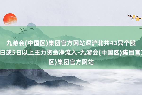 九游会(中国区)集团官方网站深沪北共43只个股荟萃5日或5日以上主力资金净流入-九游会(中国区)集团官方网站