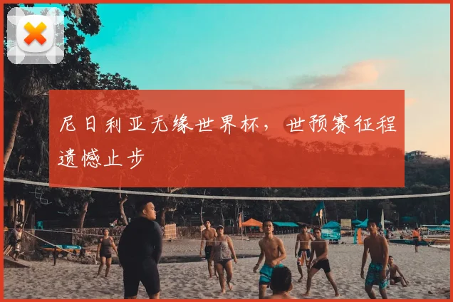 尼日利亚无缘世界杯,世预赛征程遗憾止步