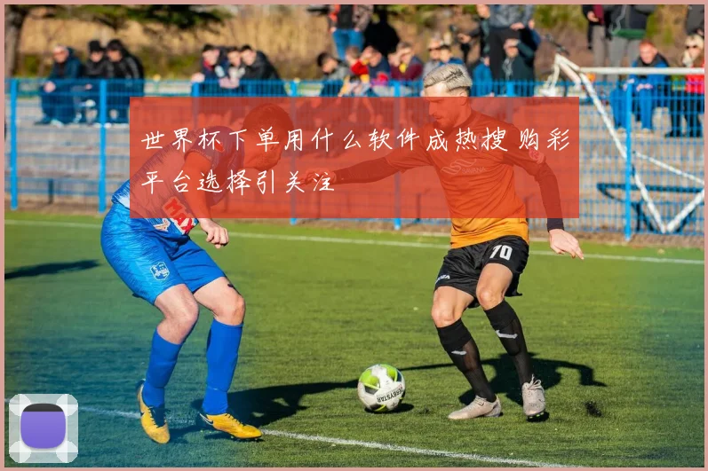 世界杯下单用什么软件成热搜 购彩平台选择引关注