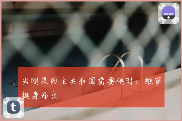 当刚果民主共和国需要他时，维萨挺身而出