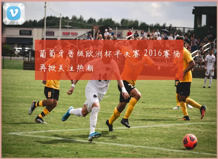 葡萄牙晋级欧洲杯半决赛 2016赛场再掀关注热潮