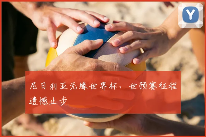 尼日利亚无缘世界杯,世预赛征程遗憾止步
